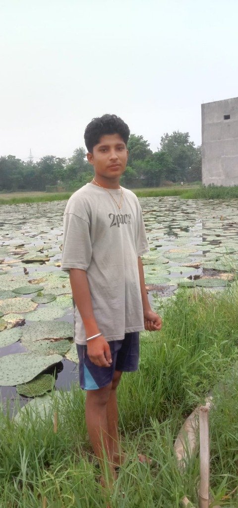 Mithila Super Roots Founder in Makhana Pond, Bangaon, Saharsa
